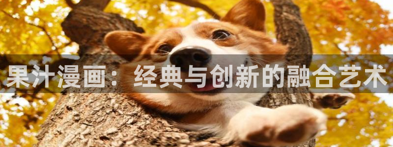喵趣漫画正版最新版